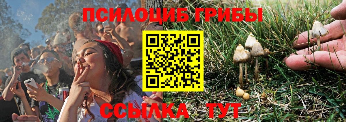Псилоцибиновые грибы MAGIC MUSHROOMS Армавир